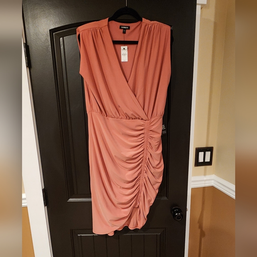 NWT Express Salmon Pink Colored Dress, Size L